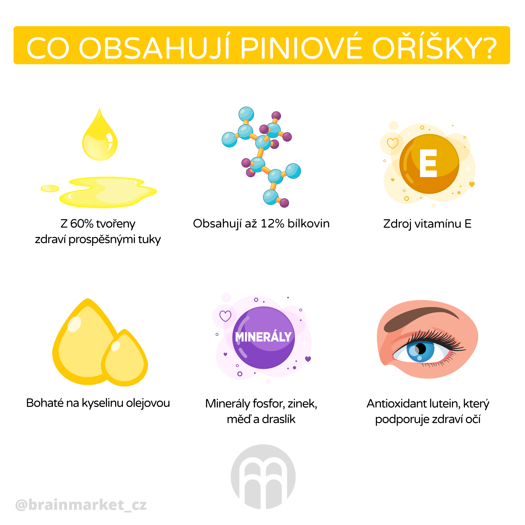 co obsahuji piniove orisky_infografika_cz